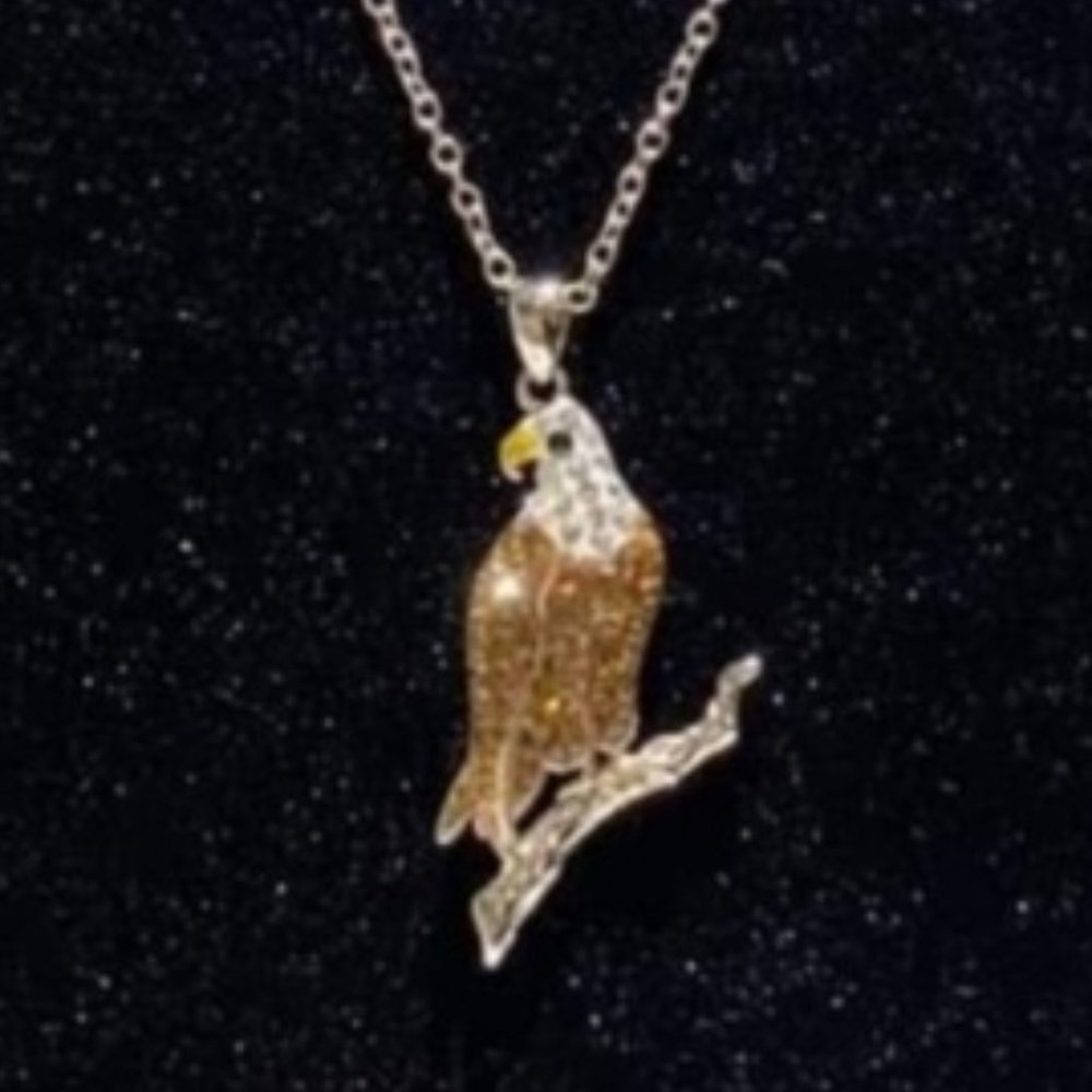 Kohls Eagle Bird Crystal Animal Lover Freedom Gold SIlver Tone Necklace Daughter